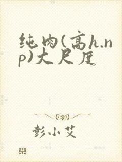 纯肉(高h.np)大尺度
