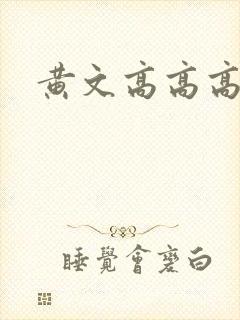 黄文高高高h封面