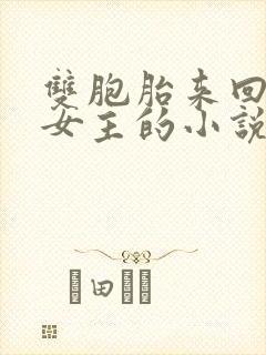 双胞胎来回换骗女主的小说