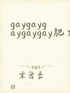 gaygaygaygaygay肥又大