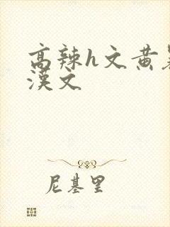 高辣h文黄暴糙汉文