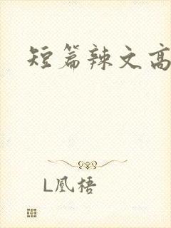 短篇辣文高h文