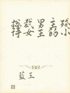 总裁男主残忍对待女主的小说