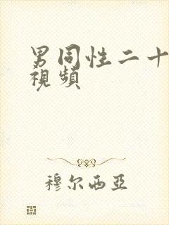 男同性二十互艹视频