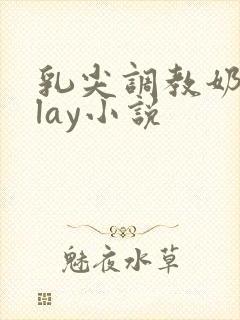 乳尖调教奶头play小说