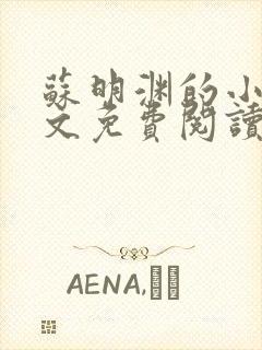 苏明渊的小说全文免费阅读无弹窗封面