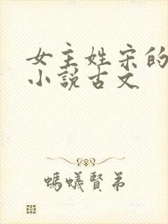 女主姓宋的重生小说古文