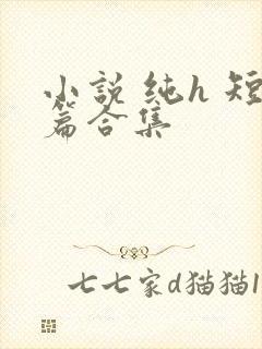 小说 纯h 短篇合集封面