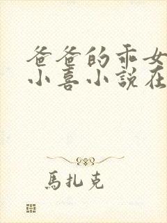 爸爸的乖女儿林小喜小说在线阅读