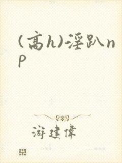 (高h)淫趴np