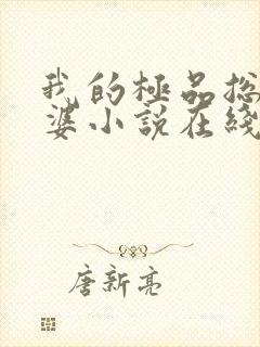 我的极品总裁老婆小说在线阅读