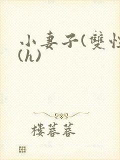 小妻子(双性)(h)