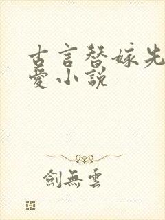 古言替嫁先婚后爱小说