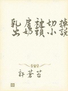 乳房被切掉后露出奶头小说