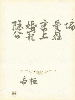 隐婚密爱偏执老公宠上瘾