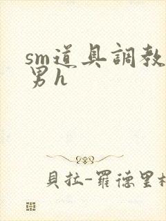 sm道具调教男男h