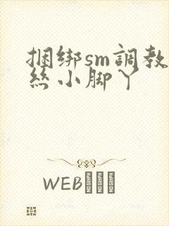 捆绑sm调教白丝小脚丫