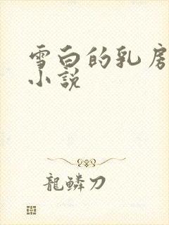 雪白的乳房乡村小说