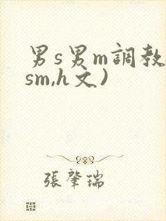 男s男m调教(sm,h文)封面