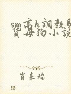 sm高h调教骚货母狗小说