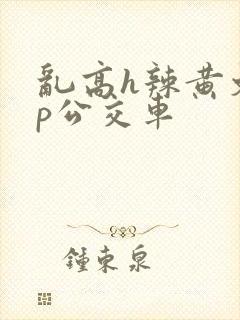 乱高h辣黄文np公交车