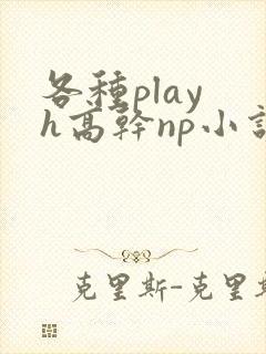 各种play h高干np小说