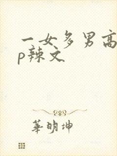 一女多男高hnp辣文封面