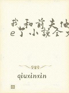 我和前夫他哥he了小说全文阅读