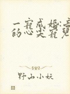 一宠成婚:帝少的心尖宠儿 六月竹封面