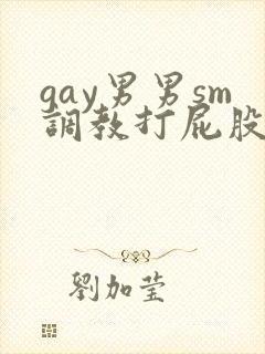 gay男男sm调教打屁股惩罚