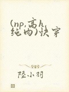 (np,高h,纯肉)快穿