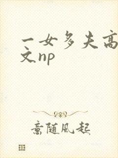 一女多夫高辣h文np