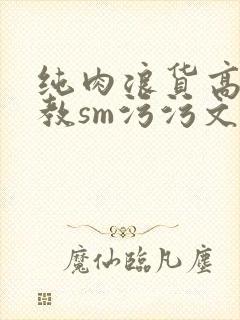 纯肉浪货高h调教sm污污文封面
