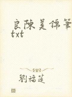 良陈美锦笔趣阁txt
