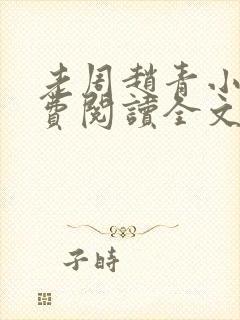 老周赵青小说免费阅读全文封面