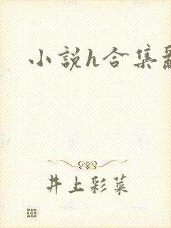 小说h合集乱
