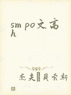 sm po文高h封面