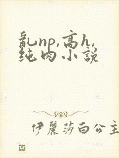乱np,高h,纯肉小说