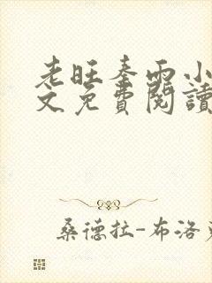 老旺秦雨小说全文免费阅读无弹窗小说