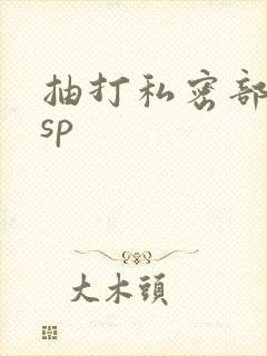 抽打私密部调教sp
