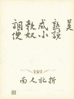 调教成熟美妇肉便奴小说封面