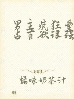 男主疯狂爱女主占有欲很强的小说