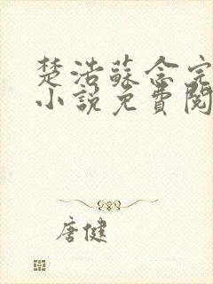 楚浩苏念完整版小说免费阅读封面