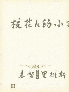 校花h的小说封面