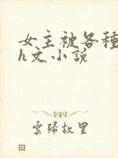 女主被各种调教h文小说封面