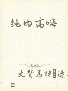 纯肉高嗨