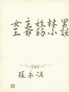 女主姓林男主是王爷的小说