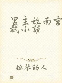 男主姓南宫的总裁小说