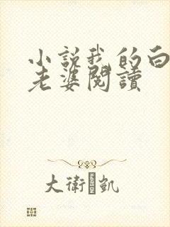 小说我的白富美老婆阅读封面