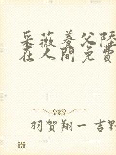 采薇养父陆三平在人间免费阅读